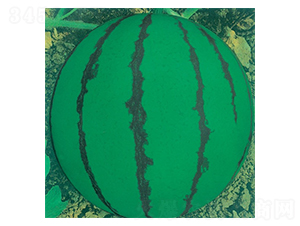 ӡ���-���ϷN��-�A�߷N�I(y��)