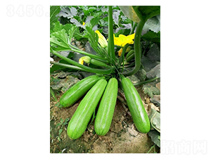 �̽��G-�����J�N��-�A�߷N�I(y��)