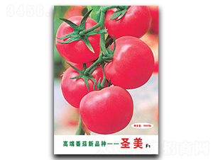 ʥ��-���ѷN��-�A�߷N�I(y��)