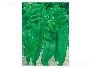 �G����-�ݽz���N��-�A�߷N�I(y��)