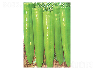 �ʼ����R-��ǽ��N��-�A�߷N�I(y��)