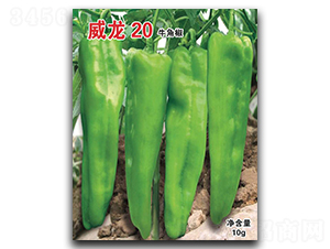 ����20-ţ�ǽ��N��-�A�߷N�I(y��)