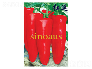 �t�\-�ݽ��N��-�A�߷N�I(y��)