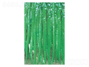 �I��һ̖-�����N��-�A�߷N�I(y��)