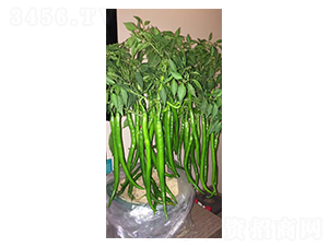 �L����2̖-�����N��-�A�߷N�I(y��)