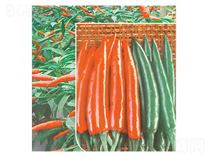 �n��һƷ-���콷�N��-�A�߷N�I(y��)