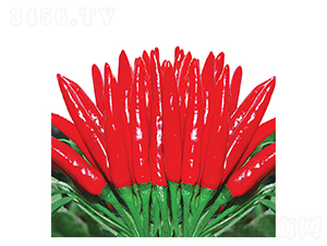 �ؼ�(j��)����-���콷�N��-�A�߷N�I(y��)