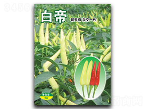 �׵�-���콷�N��-�A�߷N�I(y��)