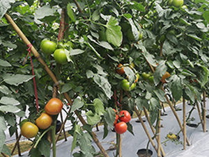 �ĵ���-���ѷN��-혳�