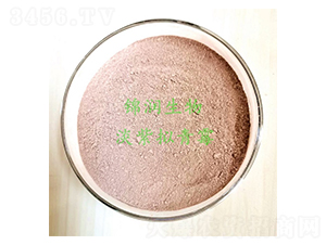 ���ϔM��ù-�\������