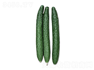 ꑻ�2̖(h��o)-�S�ϷN��-혳�