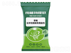 ��ݮ�t����������������-ǧ���