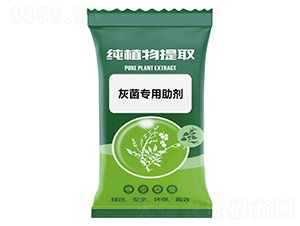 �Ҿ���������-ǧ���