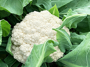 �_(t��i)������85���ɻ�-��Ҭ�˷N��-혳�