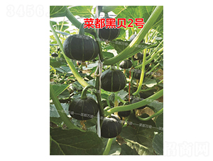 �˶���ؐ2̖-�ϹϷN��-�˶��fʢ