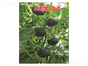 �˶���ؐ1̖-�ϹϷN��-�˶��fʢ