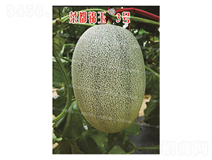 �˶��\��3̖-��ϷN��-�˶��fʢ