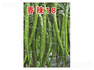 ����18-�����N��-�˶��fʢ