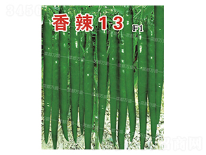 ����13-�����N��-�˶��fʢ