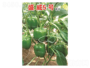 ʢ��5̖-�����N��-�˶��fʢ