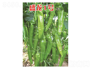 ʢ��1̖-�����N��-�˶��fʢ