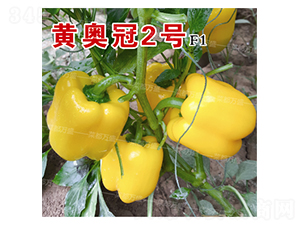 �S�W��2̖-�����N��-�˶��fʢ