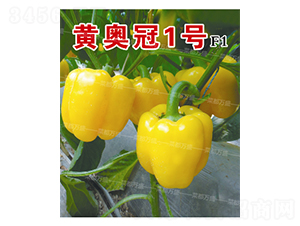 �S�W��1̖-�����N��-�˶��fʢ