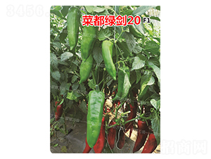 �˶��G��20-�����N��-�˶��fʢ