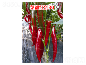 �˶��t��30-�����N��-�˶��fʢ