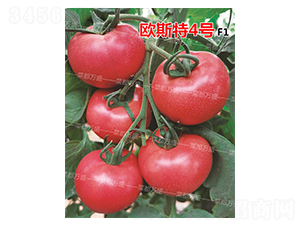 �W˹��4̖-���t���N��-�˶��fʢ