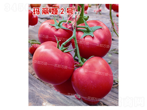 �����I2̖-���t���N��-�˶��fʢ