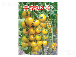 �S����2̖-���t���N��-�˶��fʢ