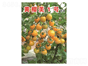 �S����1̖-���t���N��-�˶��fʢ