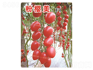 �ۙ���-���t���N��-�˶��fʢ