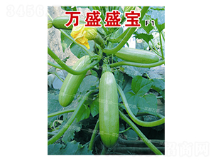 �fʢʢ��-�����J�N��-�˶��fʢ