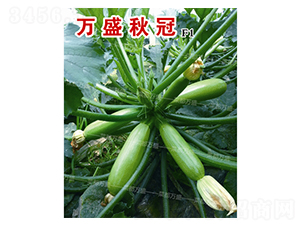 �fʢ���-�����J�N��-�˶��fʢ