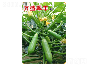 �fʢ���S-�����J�N��-�˶��fʢ