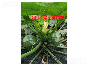 ī��1̖-�����J�N��-�˶��fʢ