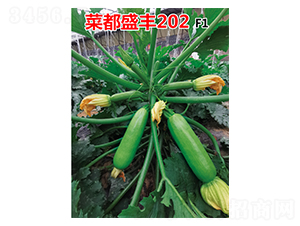 �˶�ʢ�S202-�����J�N��-�˶��fʢ