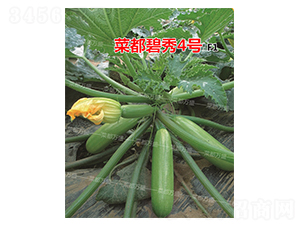 �˶�����4̖-�����J�N��-�˶��fʢ