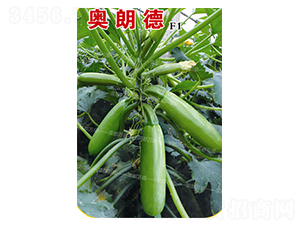 �W�ʵ�-�����J�N��-�˶��fʢ