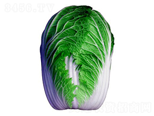 ��ʢ����-��ײ˷N��-���A�N�I(y��)