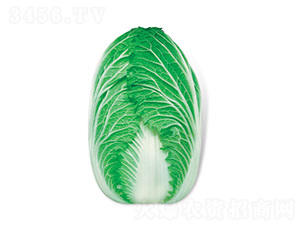 ��g-��ײ˷N��-���A�N�I(y��)