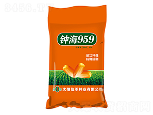 犺�959���ȴ���-���׷N��-�ɺ̷N�I(y��)