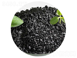 �w�����-����ֲ��