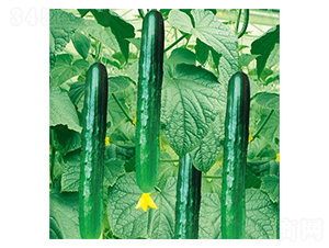 ����-�S�ϷN��-��Ļ��