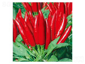 ��Ļ��t��-�����N��-��Ļ��