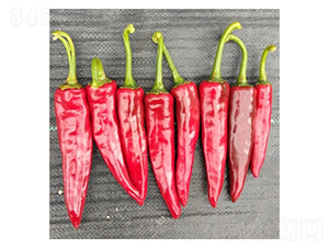 �ػ�-�����N��-��Ļ��