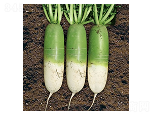 Ļ���F��-�}���N��-��Ļ��