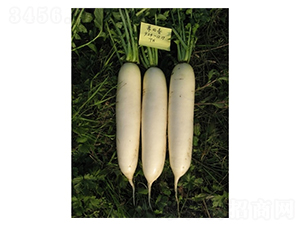 ꖴ���ѩ-�}���N��-��Ļ��